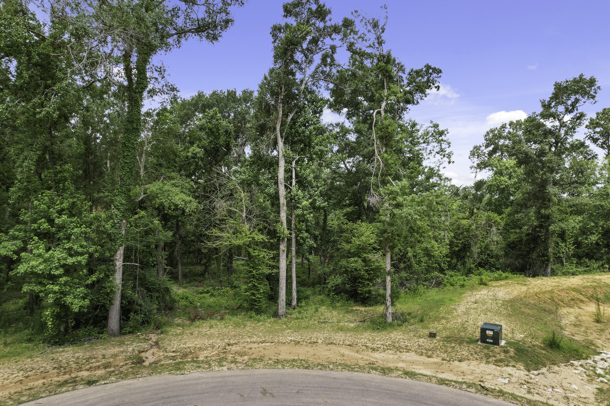 24912 Two Rivers Road Montgomery, TX 77316 - Photo 2 of 7 a view of a yard with plants and trees