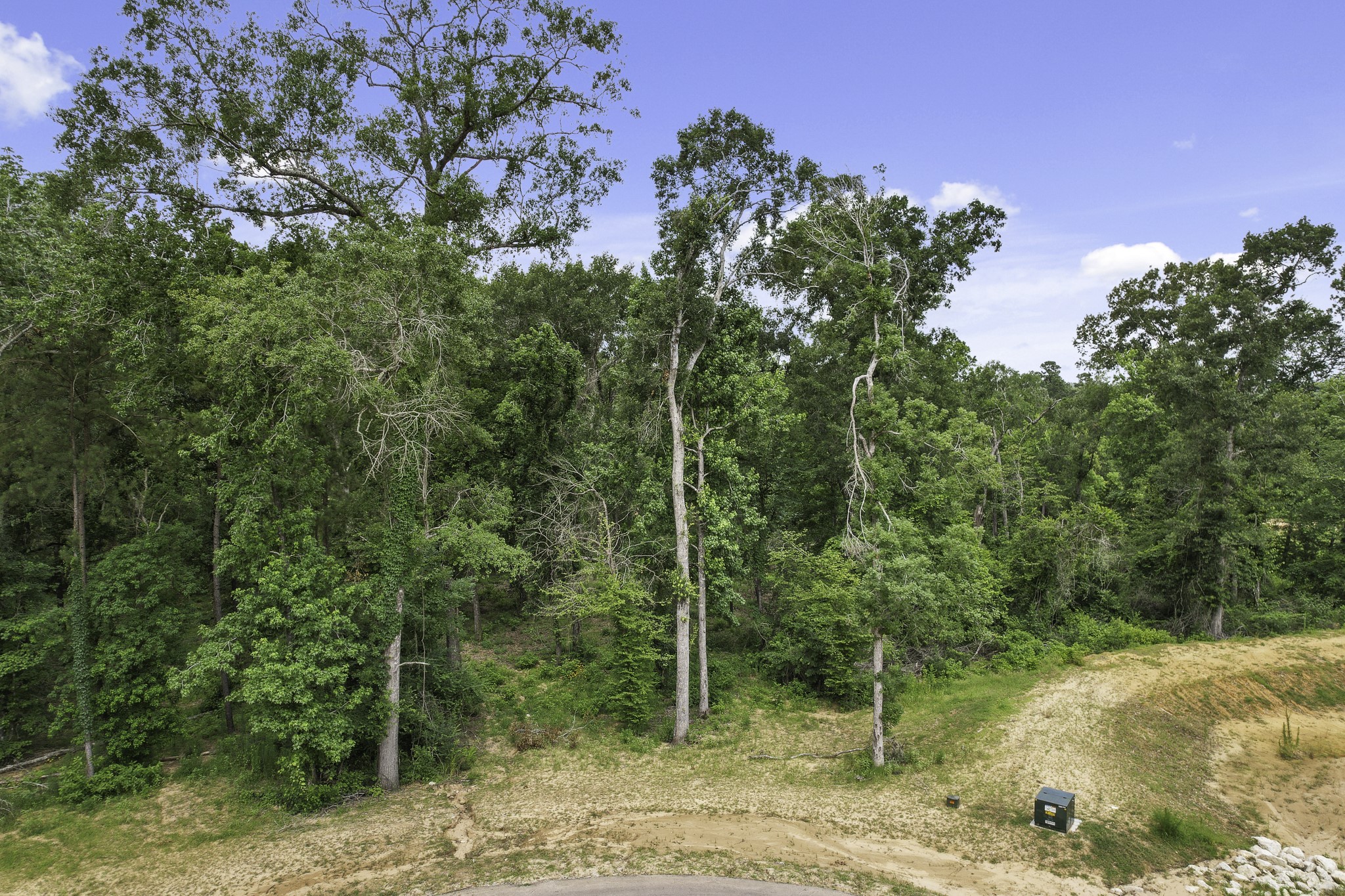 24912 Two Rivers Road Montgomery, TX 77316 - Photo 3 of 7 a view of a forest