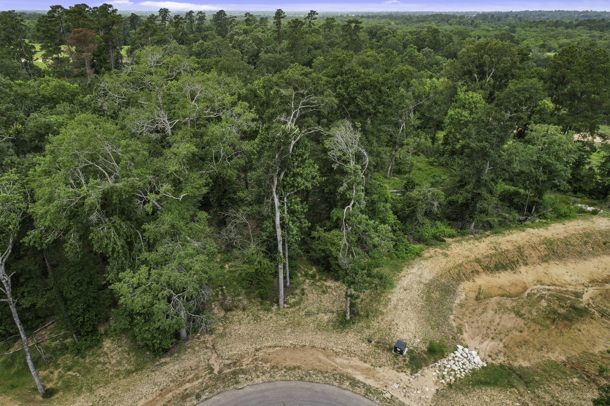 24912 Two Rivers Road Montgomery, TX 77316 - Photo 4 of 7 a view of a lush green forest with lots of trees