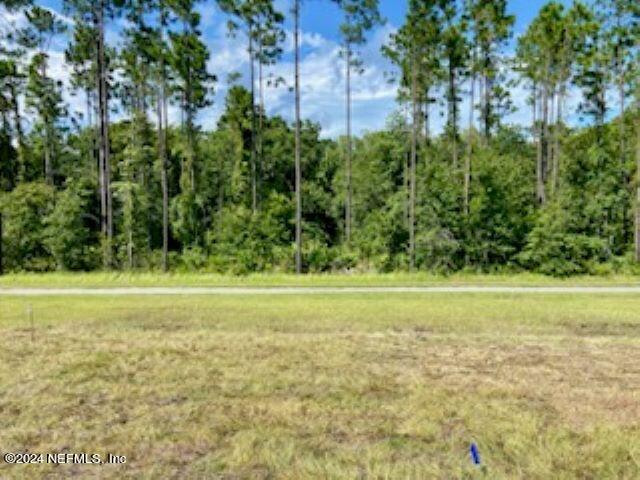 114 Hulett Wds Road Palm Coast, FL 32137 - Photo 5 of 36 a view of a yard with an trees
