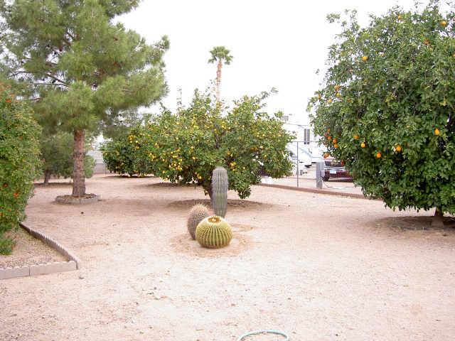 305 South Cactus Road Apache Junction, AZ 85119 - Photo 3 of 4 Additional Photo