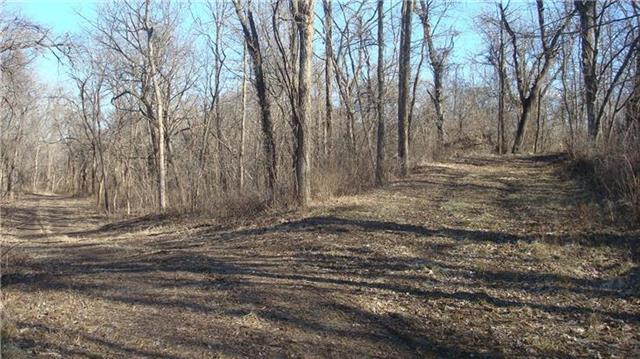 Blue Mills Road Independence, MO 64058 - Photo 11 of 15