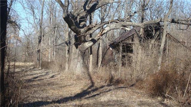 Blue Mills Road Independence, MO 64058 - Photo 12 of 15