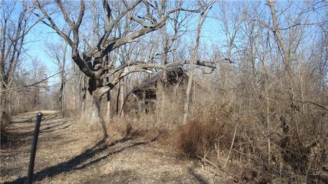 Blue Mills Road Independence, MO 64058 - Photo 13 of 15