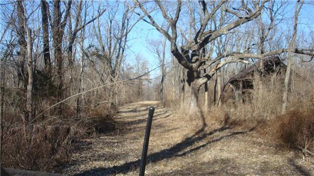 Blue Mills Road Independence, MO 64058 - Photo 14 of 15