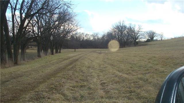 Blue Mills Road Independence, MO 64058 - Photo 4 of 15