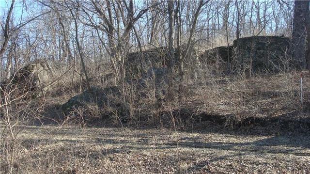 Blue Mills Road Independence, MO 64058 - Photo 9 of 15