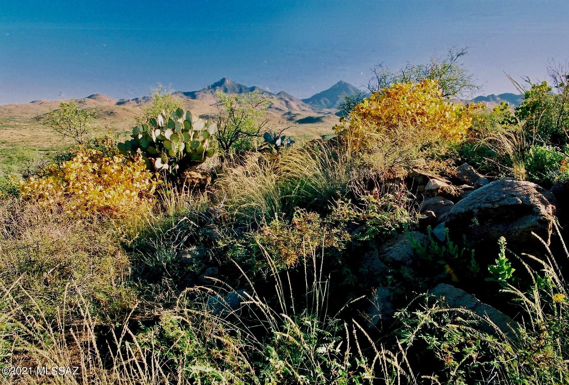0 Tejano Springs Road, Unit 80 Rio Rico, AZ 85648 - Photo 16 of 23