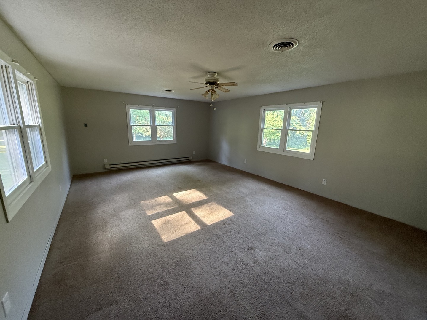 19309 Corinth Road Pittsburg, IL 62974 - Photo 14 of 31