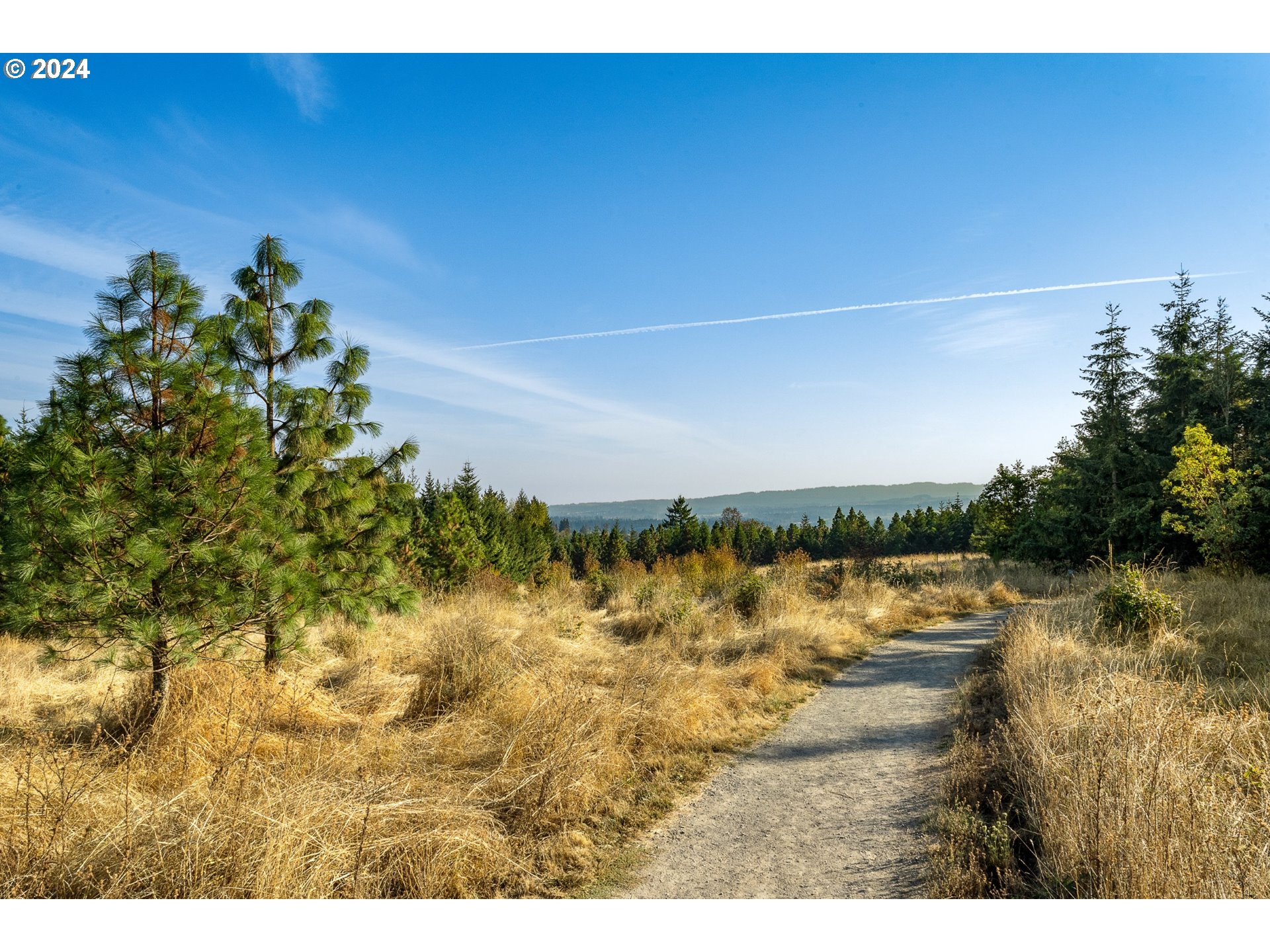 17714 Southwest Watchman Lane Beaverton, OR 97007 - Photo 8 of 22 a view of ocean view