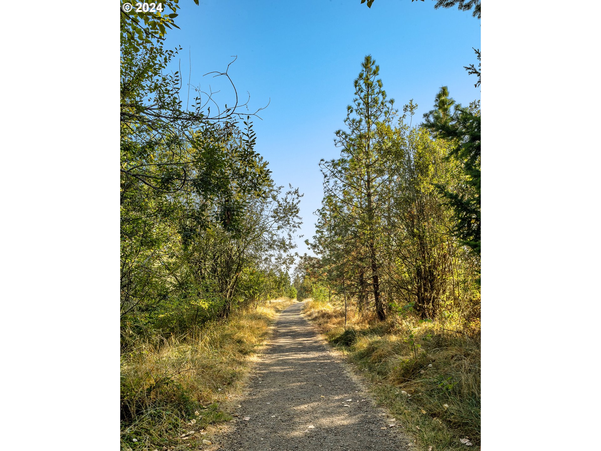17714 Southwest Watchman Lane Beaverton, OR 97007 - Photo 9 of 22 a view of a yard