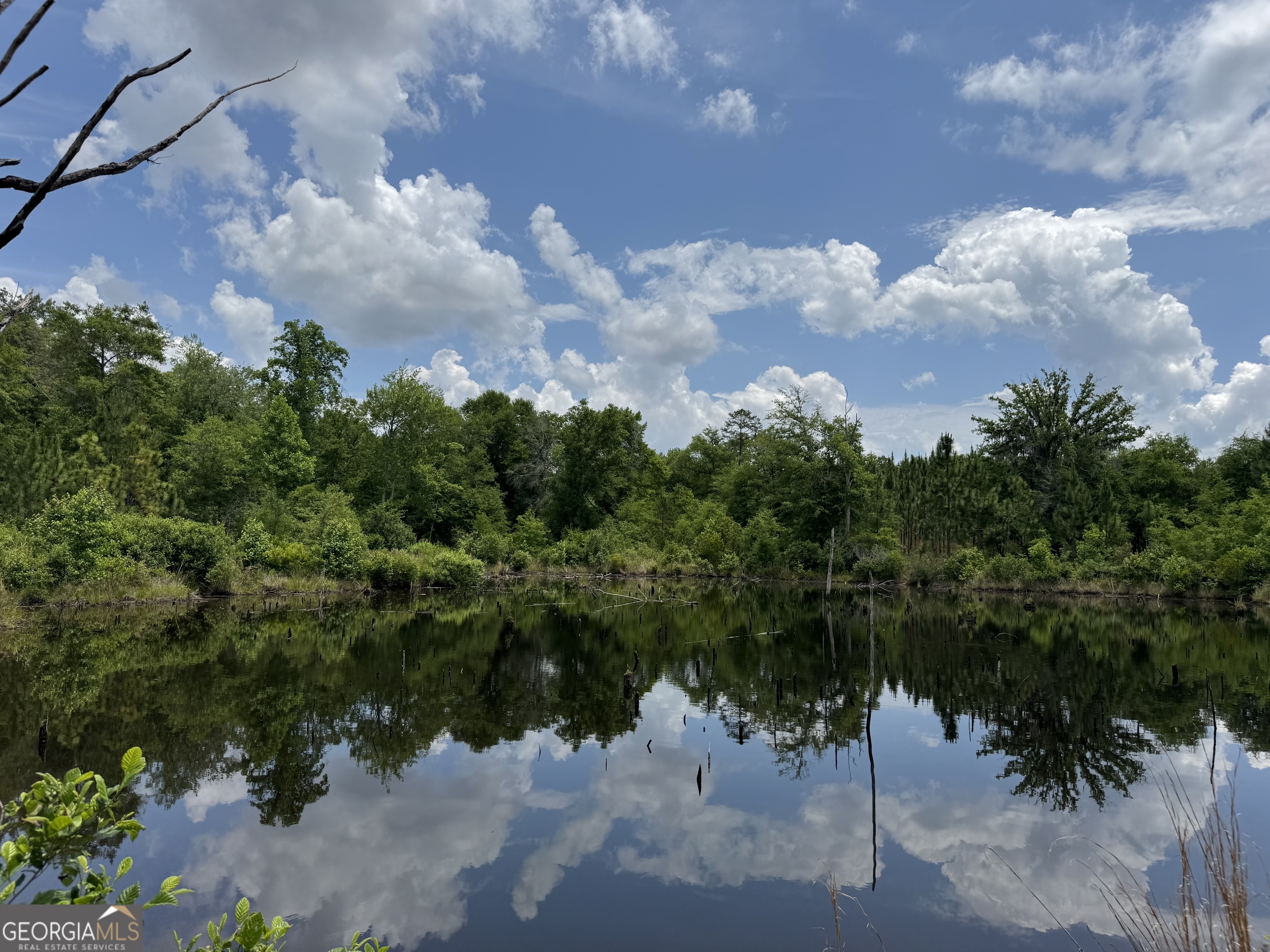 0 Rocky Mt Church Road Eufaula, AL 36027 - Photo 22 of 35