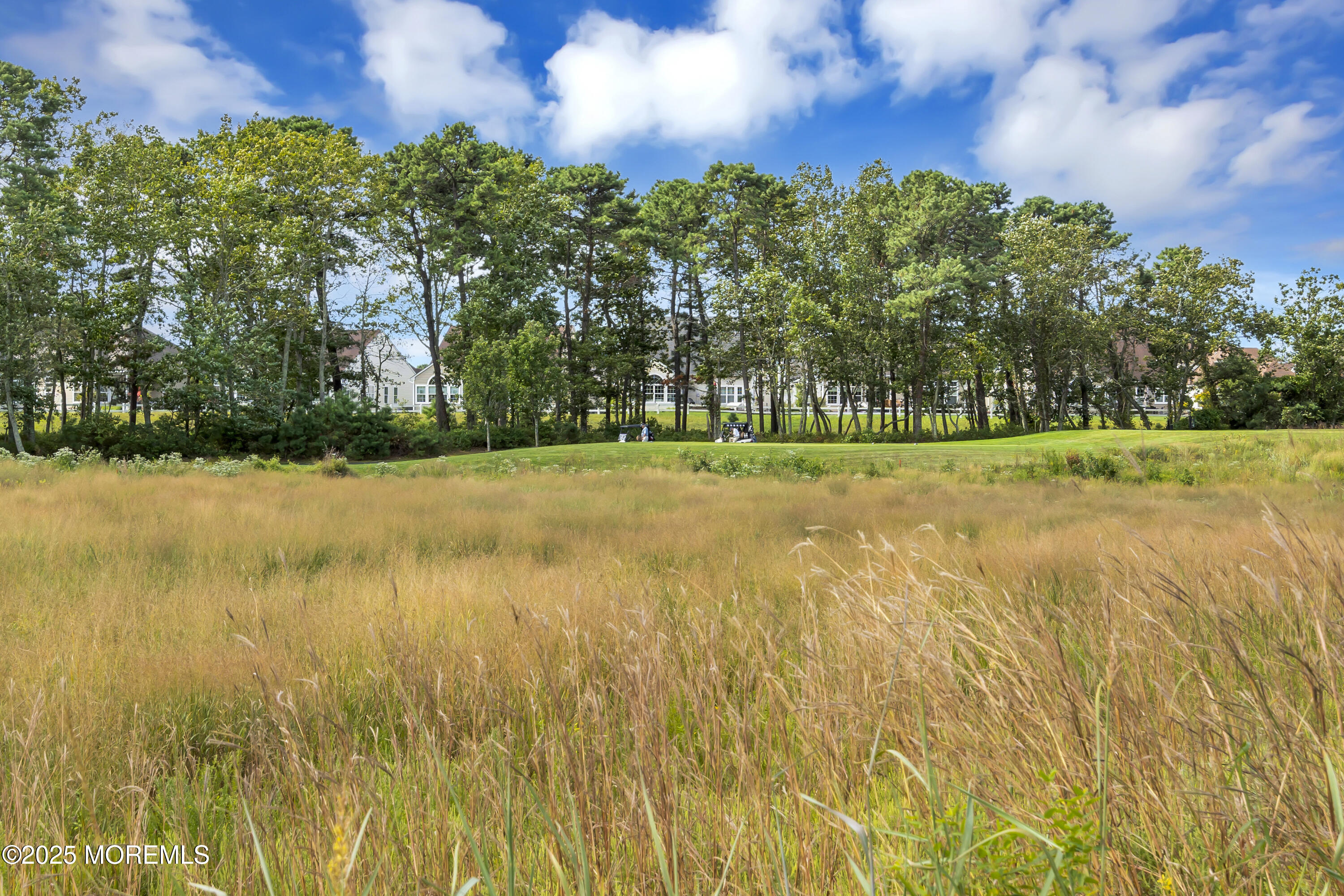 54 Pancoast Road Waretown, NJ 08758 - Photo 32 of 33 BACKYARD GOLF VIEWS