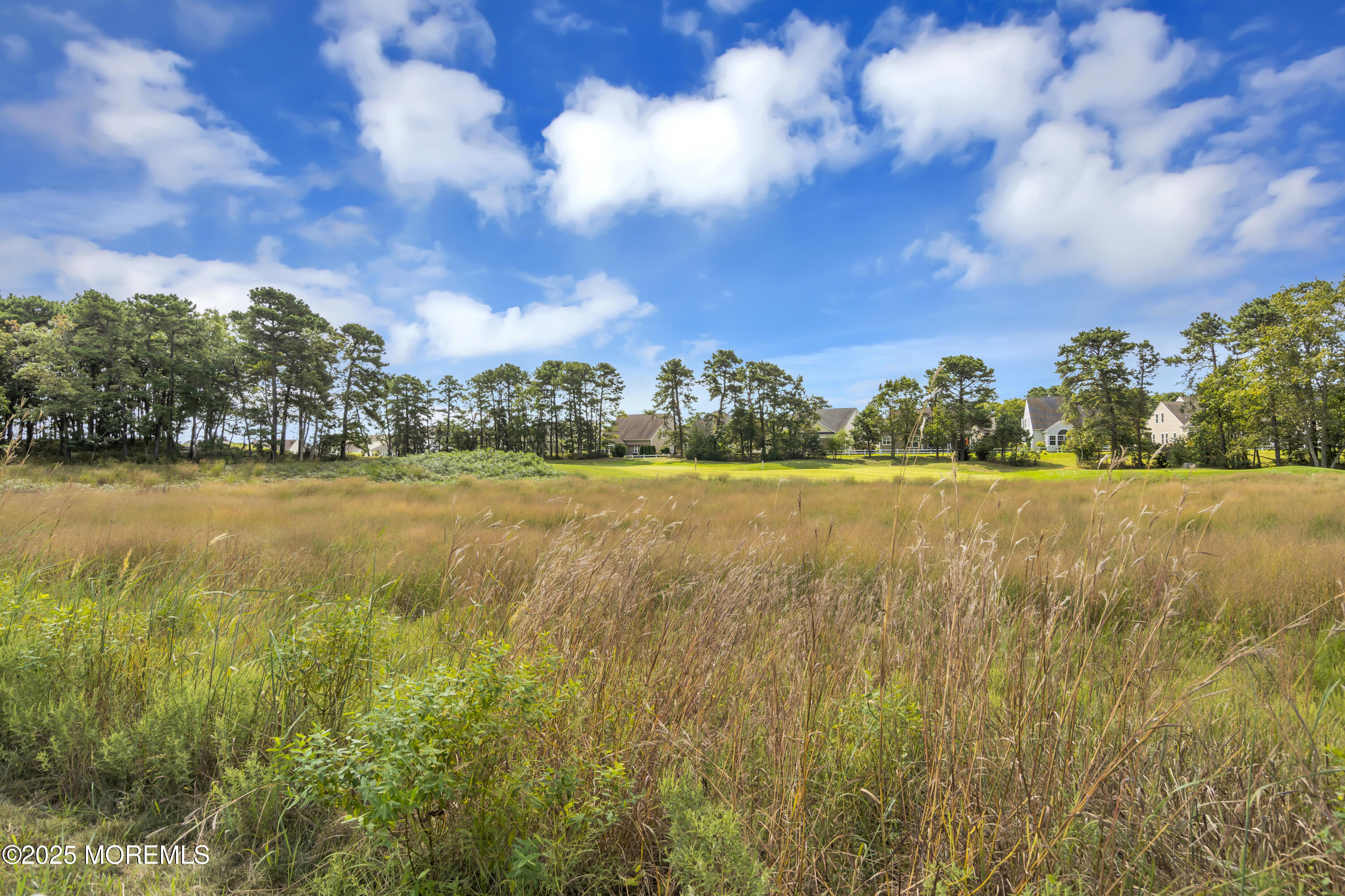 54 Pancoast Road Waretown, NJ 08758 - Photo 33 of 33 PRIVATE GOLF COURSE VIEWS