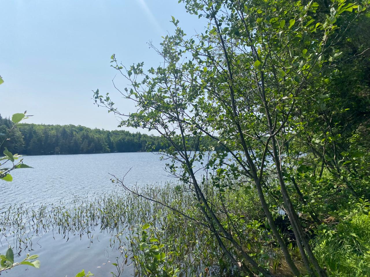 Tbd State Line Lake Road East, Unit 18 & 19 Marenisco, MI 49947 - Photo 8 of 27 Gallery Image 8