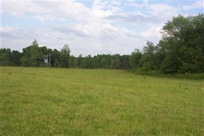0 Willie Green Road, Unit 8 London, KY 40741 - Photo 6 of 8 Photo 6
