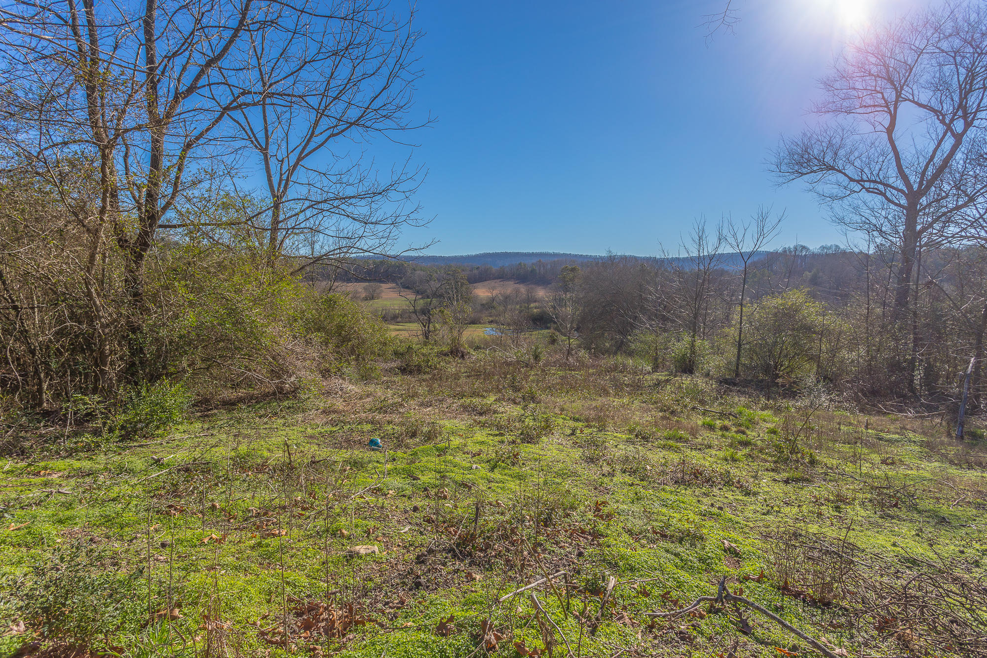 6141 Highway 95 Rock Spring, GA 30739 - Photo 35 of 56 6141 Highway 95-13