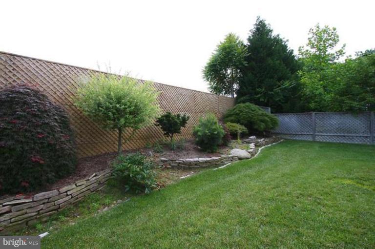 5200 Ridgefield Road Bethesda, MD 20816 - Photo 14 of 15 a view of a backyard with plants and large trees
