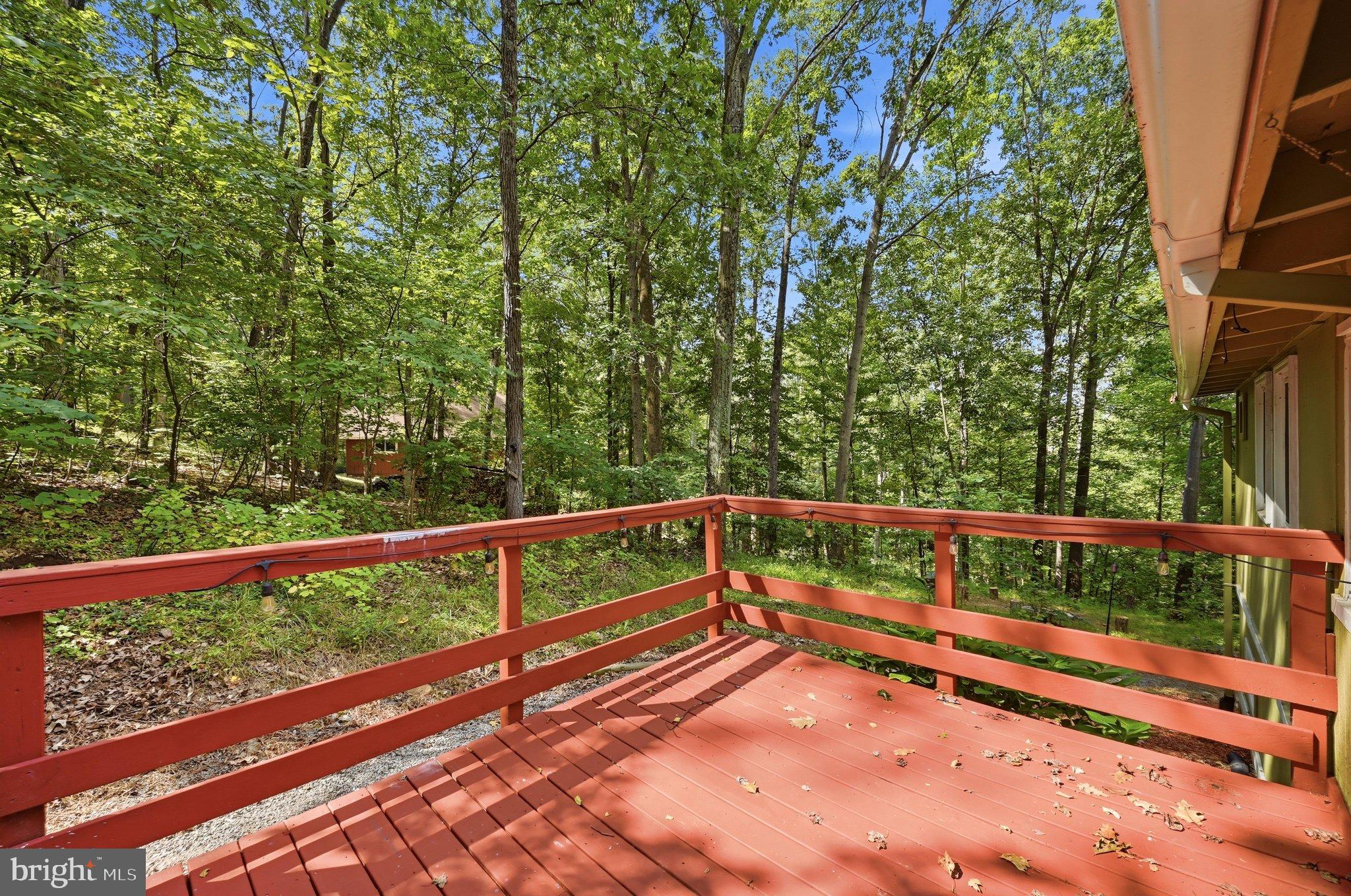 686 Nancy Jack Road Gerrardstown, WV 25420 - Photo 41 of 56 Front Porch View