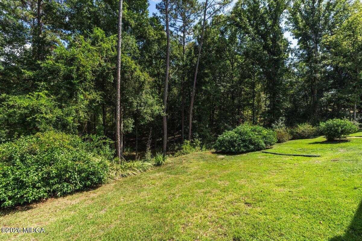 127 Old Ridge Road Macon, GA 31211 - Photo 41 of 43 36-DSC02948