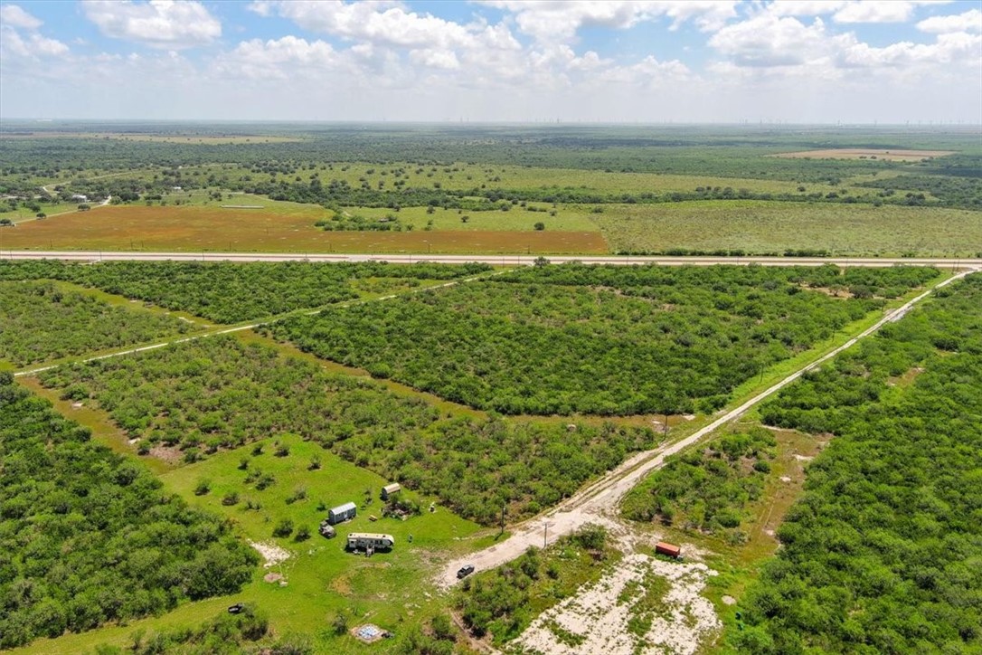 0 Off Highway South Skidmore, TX 78389 - Photo 11 of 12