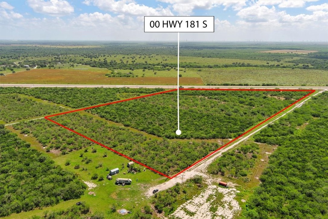 0 Off Highway South Skidmore, TX 78389 - Photo 12 of 12