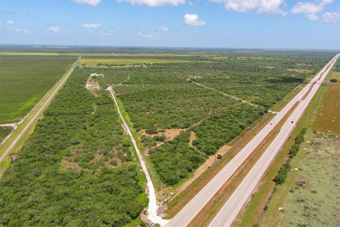 0 Off Highway South Skidmore, TX 78389 - Photo 7 of 12