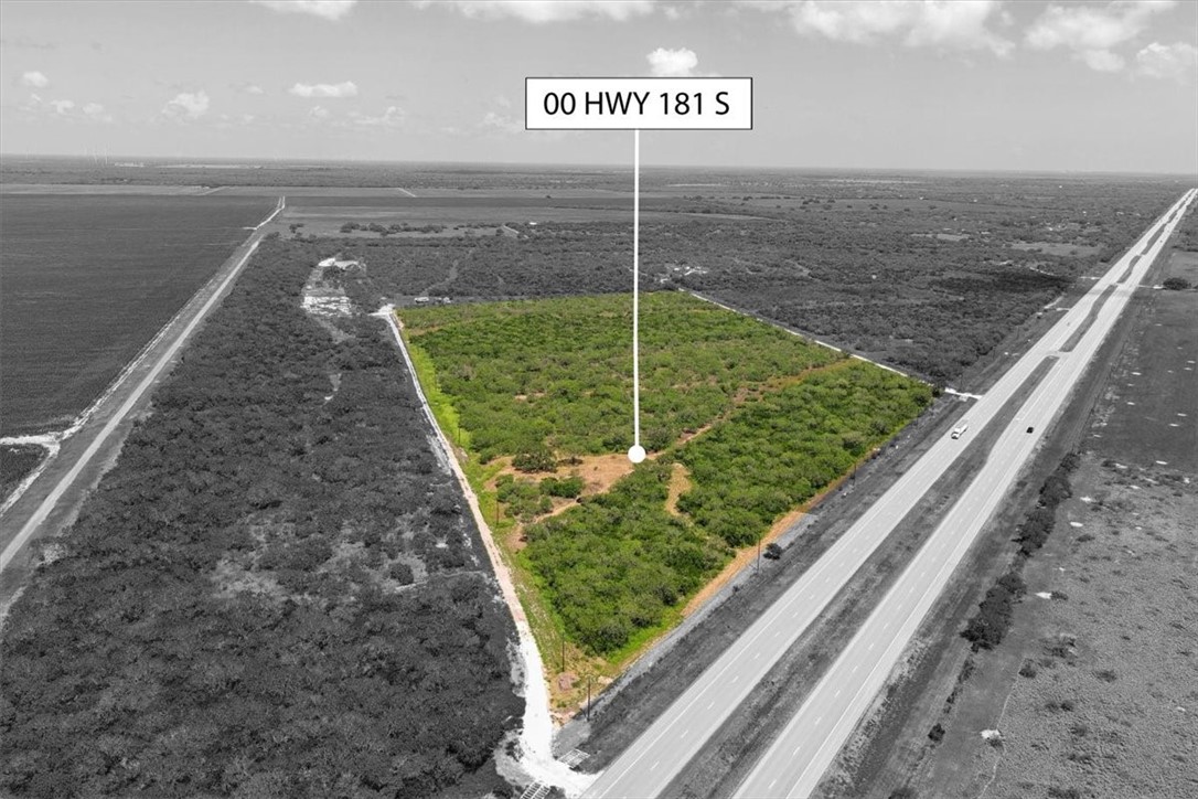 0 Off Highway South Skidmore, TX 78389 - Photo 8 of 12