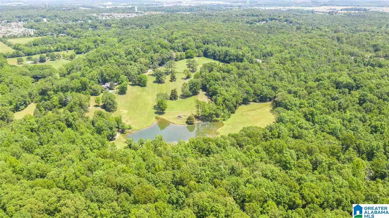 5744 Spring Creek Road Montevallo, AL 35115 - Photo 42 of 44