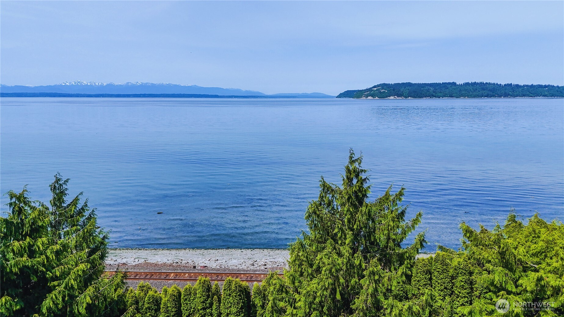 a view of a lake from a yard