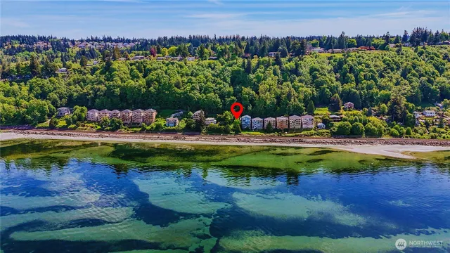 a view of a garden with a lot of trees