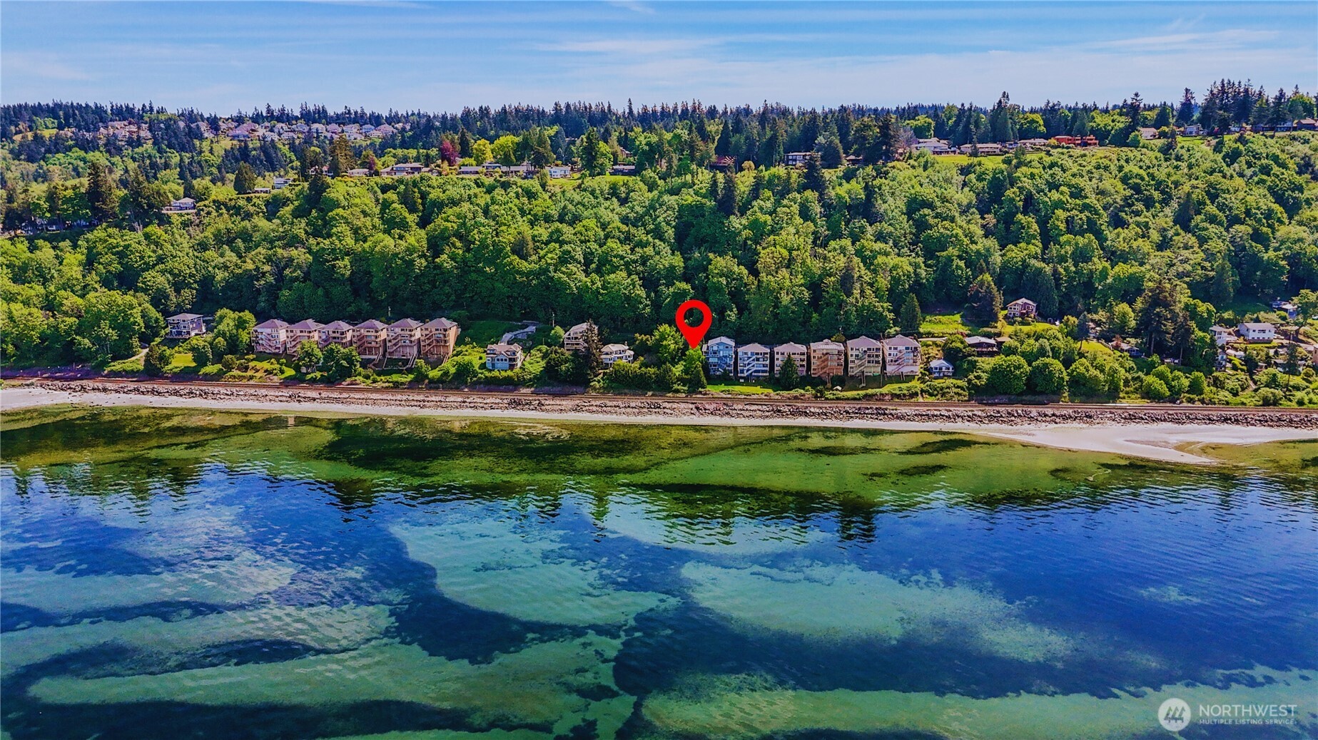 12104 Possession Lane Edmonds, WA 98026 - Photo 2 of 10 a view of a garden with a lot of trees