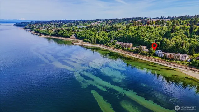 a view of a lake with a floor to potted plants