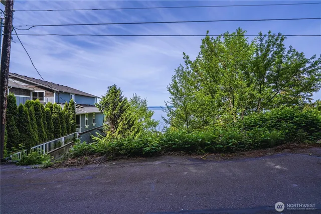a backyard with plants