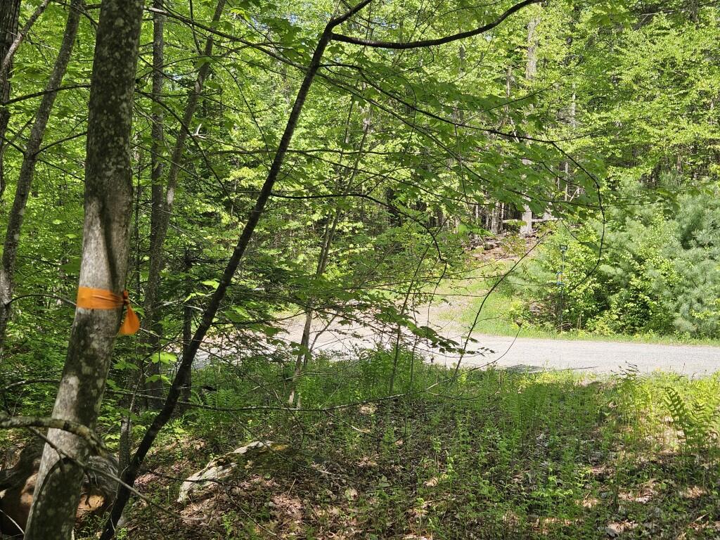 21 Jewett Way Hanover, ME 04237 - Photo 43 of 57 20260526_111834