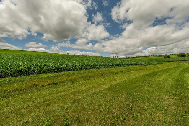 $275,000 | Lot 9 9.69 Acres Hefty, Monticello, WI 53570