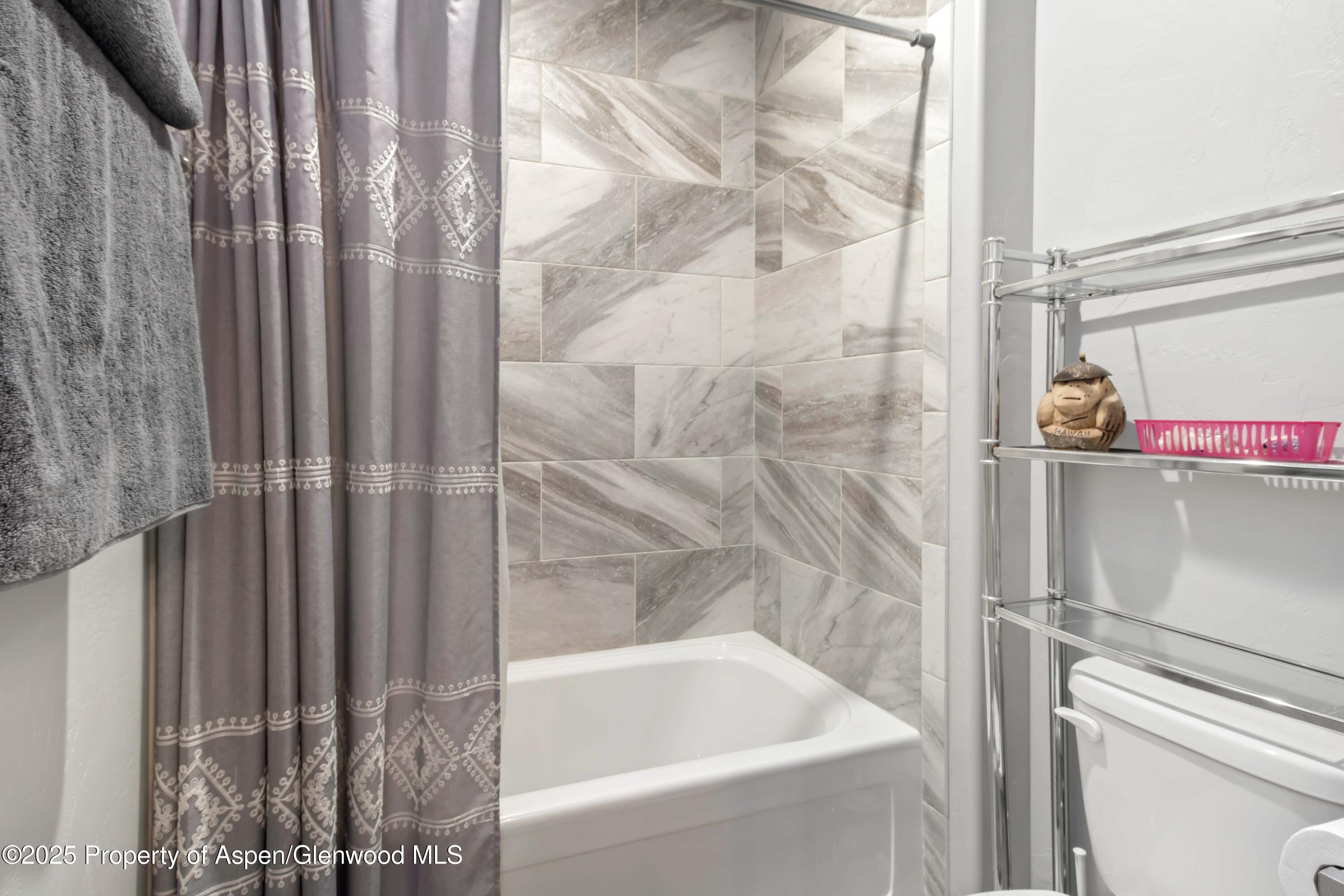 1667 Balsam Loop Rifle, CO 81650 - Photo 14 of 19 Bathroom