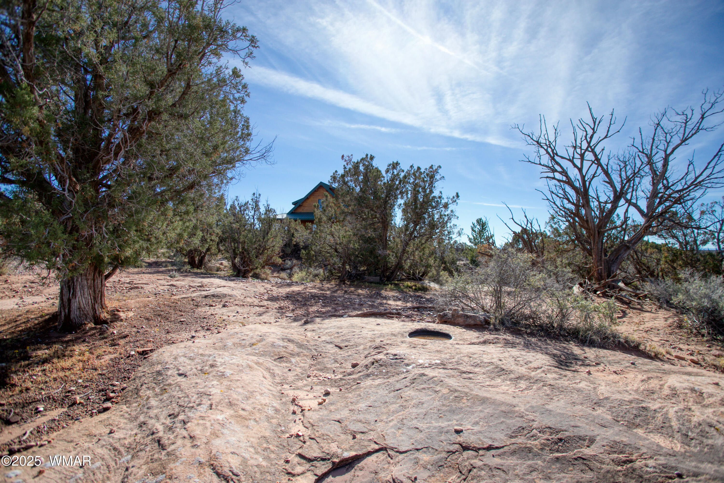 8555 Reata Lane Snowflake, AZ 85937 - Photo 51 of 88 a view of a yard with a tree