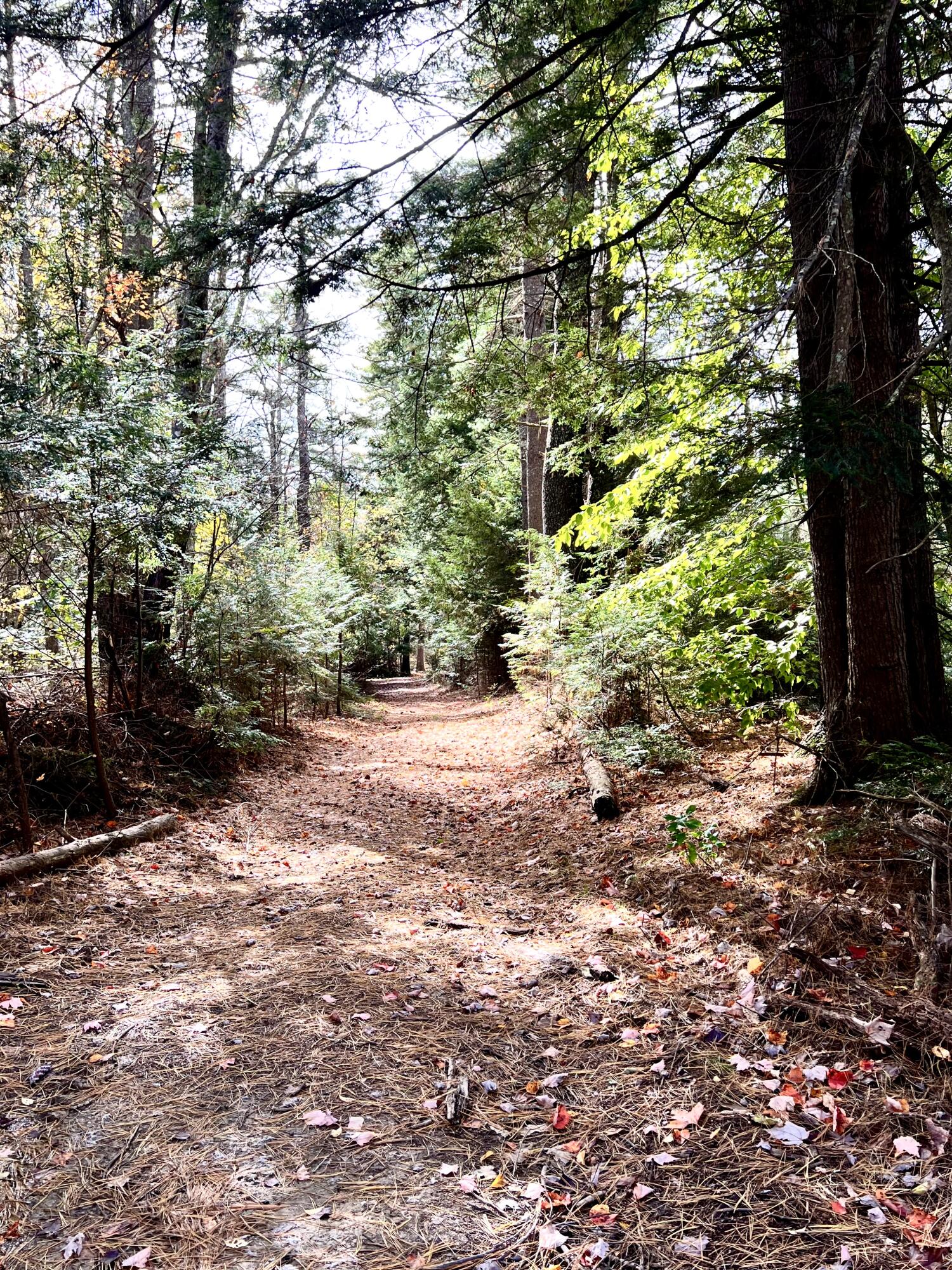 9680848B-92D0-4CA1-9613-DC364E297617