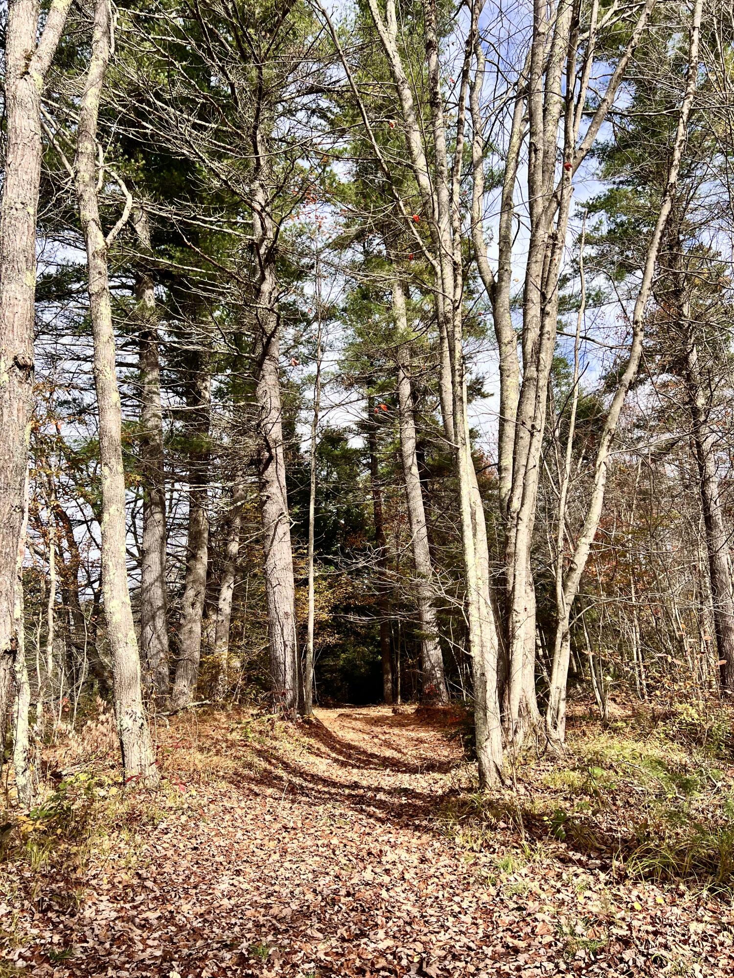 6 Ridlon Road Berwick, ME 03901 - Photo 2 of 18 F6616B2D-CB83-4A31-BAAB-D8226A5F0446