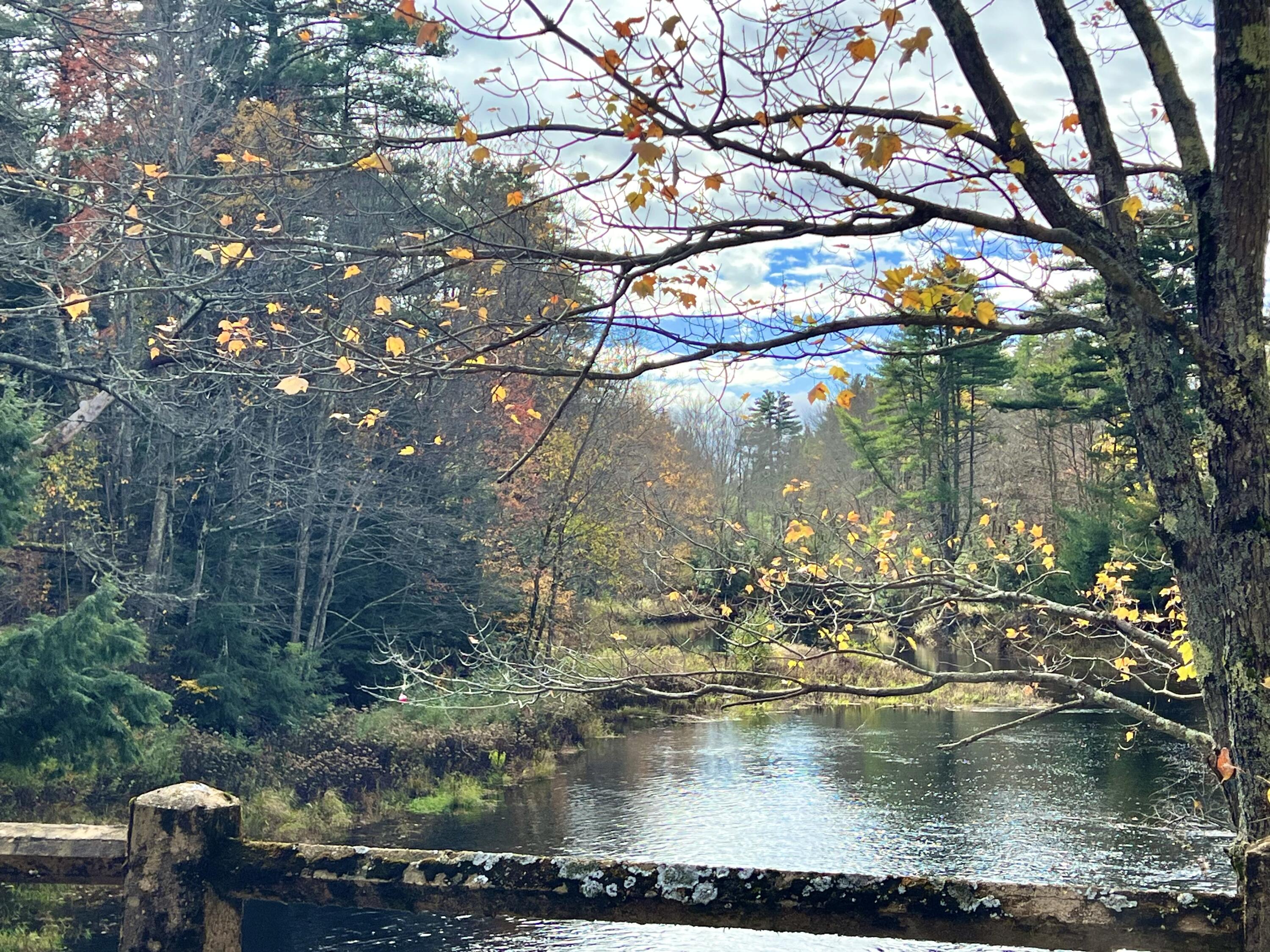 6 Ridlon Road Berwick, ME 03901 - Photo 3 of 18 0F375F31-8A84-4128-AF0D-EFC0C1A8FE88