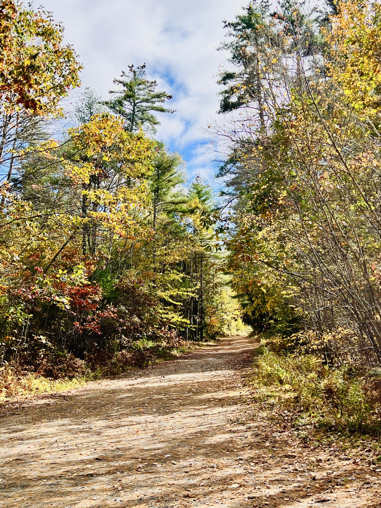 6 Ridlon Road Berwick, ME 03901 - Photo 4 of 18 1D7994FA-2EF9-4D6C-9BE0-F7C610A6775D