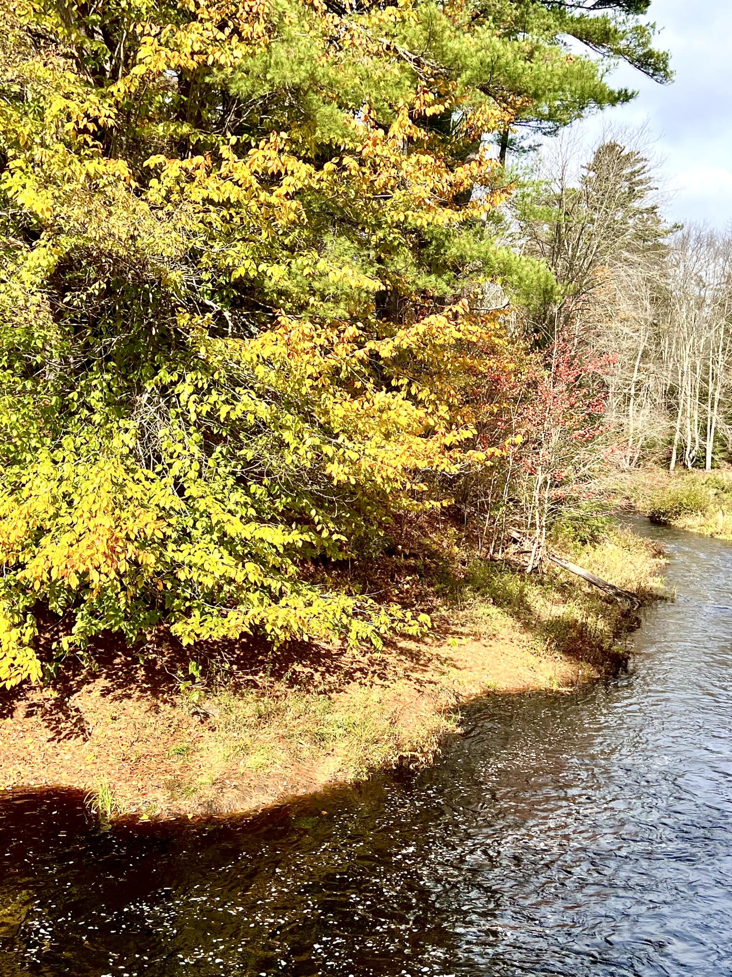 6 Ridlon Road Berwick, ME 03901 - Photo 5 of 18 D82F7DAB-EA0E-46A1-8ADC-90BE7455E4E0