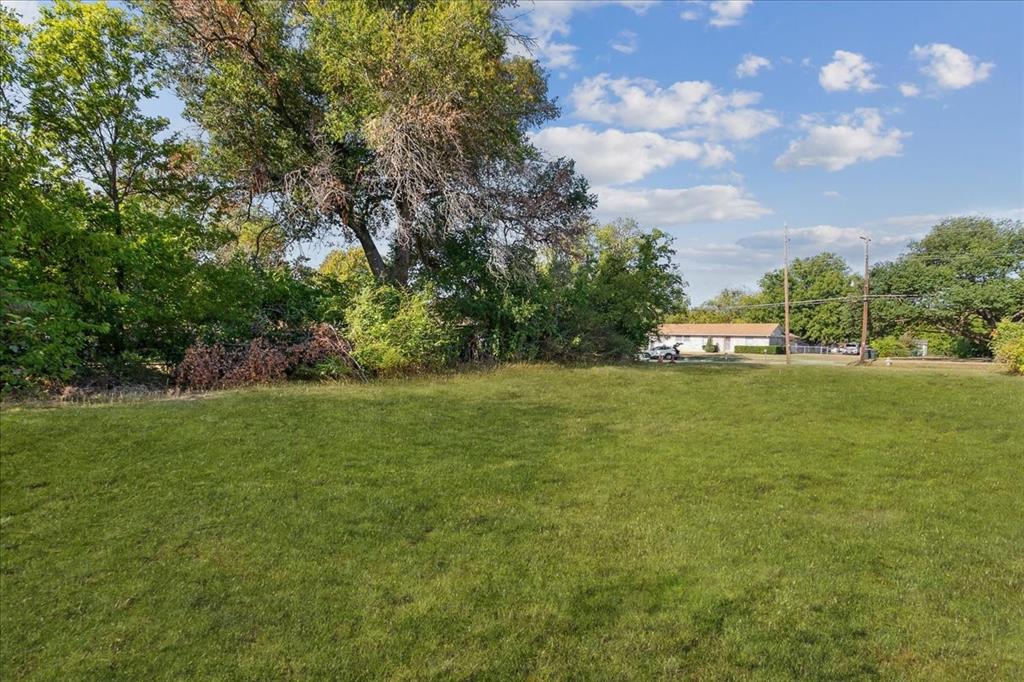 a view of yard with green space