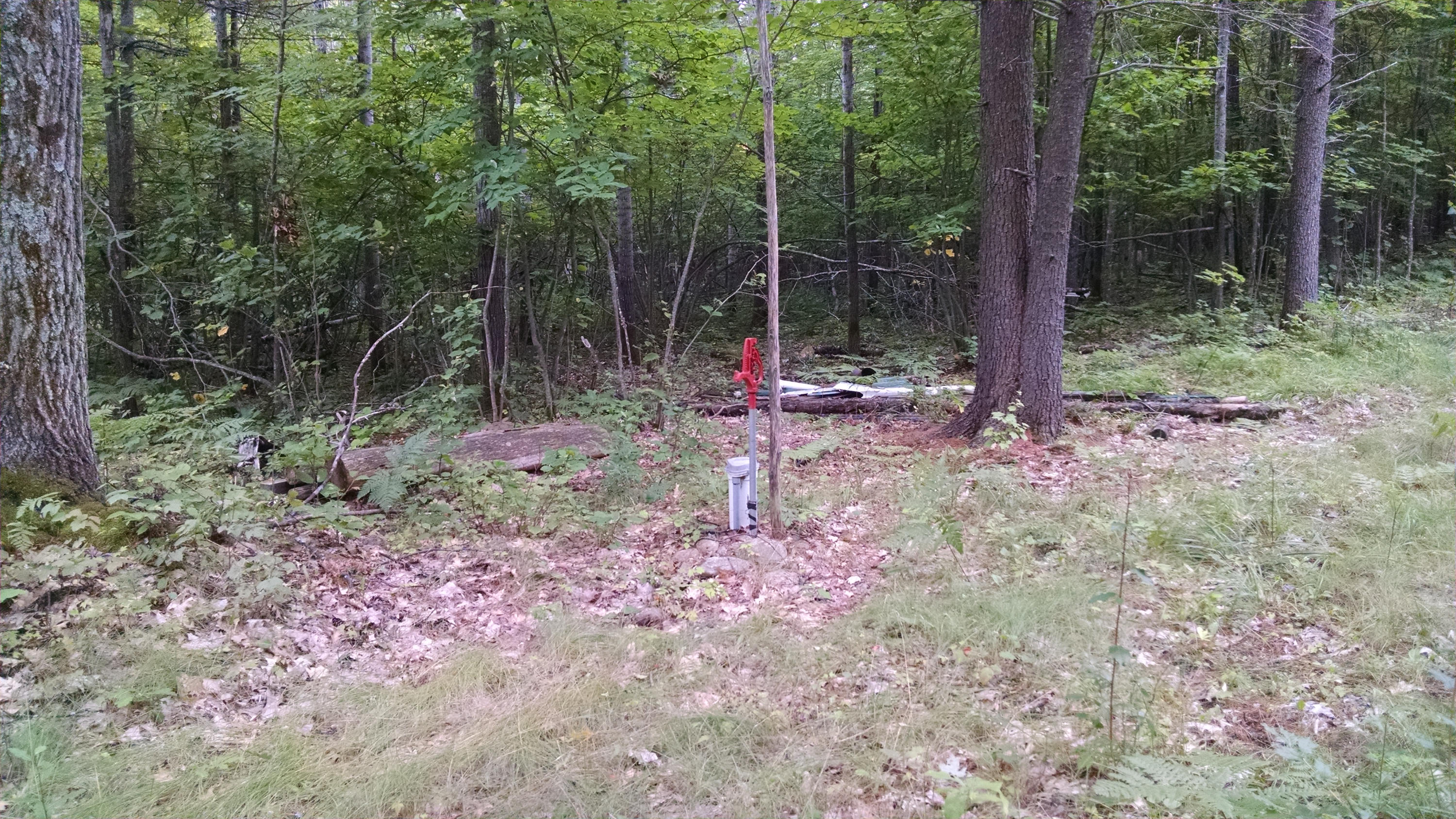 8442 Rough Road Atlanta, MI 49709 - Photo 10 of 18 Gallery Image 10