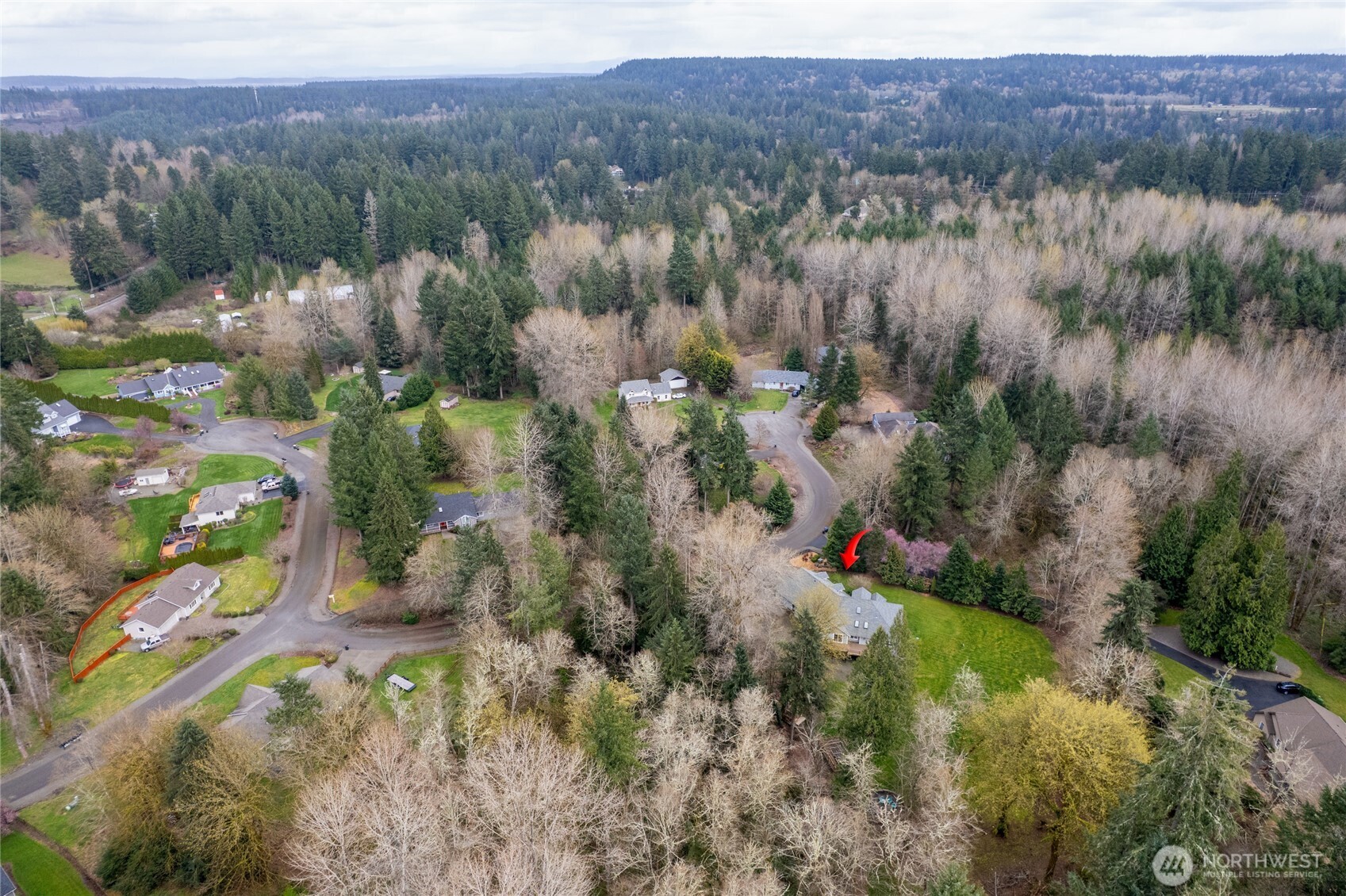 3841 Mari Lane Southeast Olympia, WA 98513 - Photo 39 of 40 a view of a bunch of trees and bushes