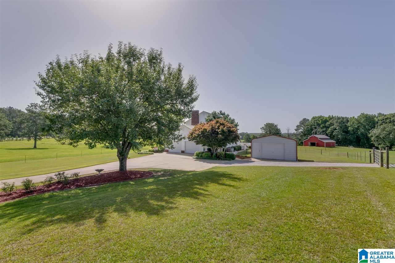 575 County Road 43 Clanton, AL 35046 - Photo 41 of 50