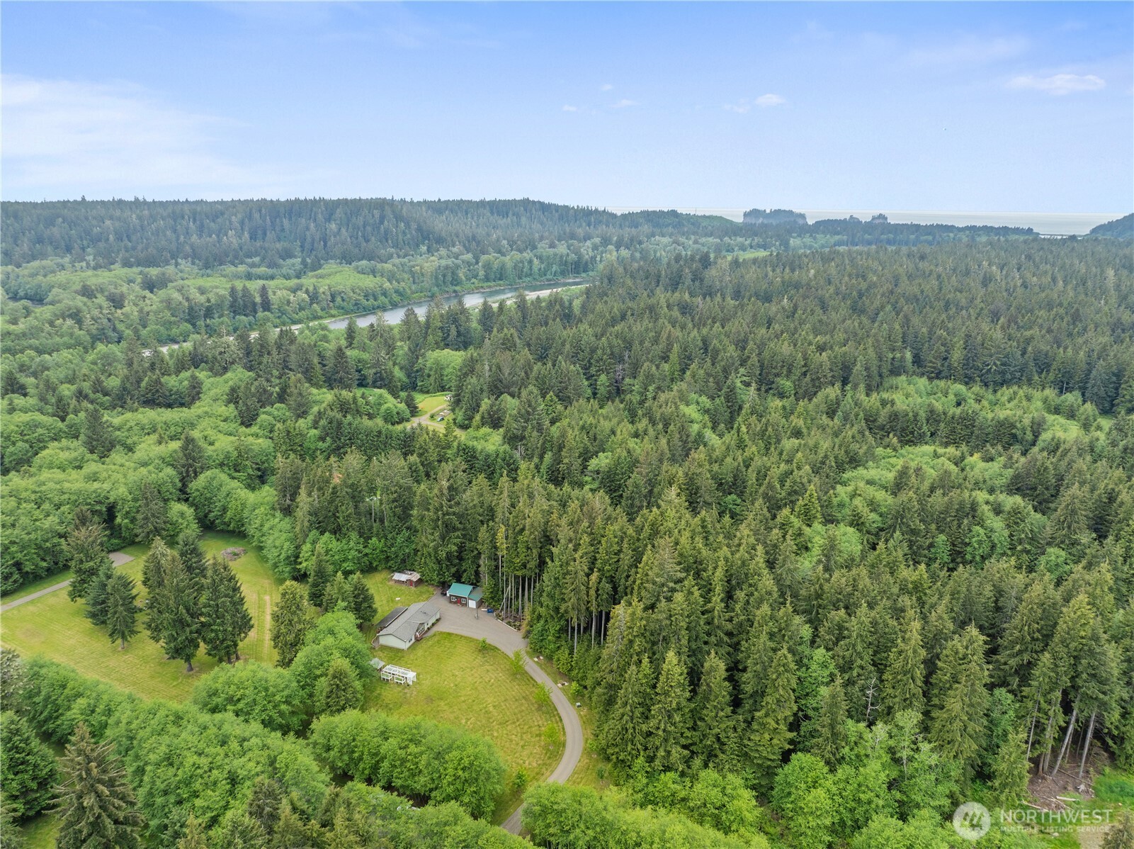 132 River Park Road Forks, WA 98331 - Photo 28 of 40 a view of a lush green forest with trees in the background