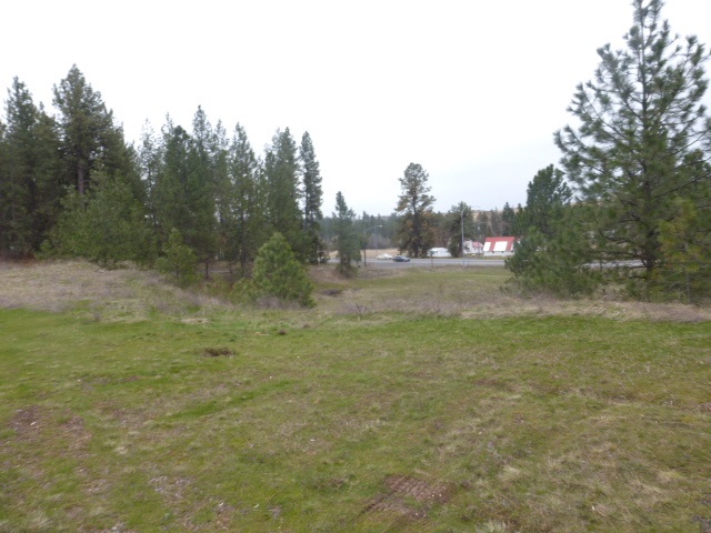 11306 South Garfield Road Cheney, WA 99004 - Photo 14 of 18