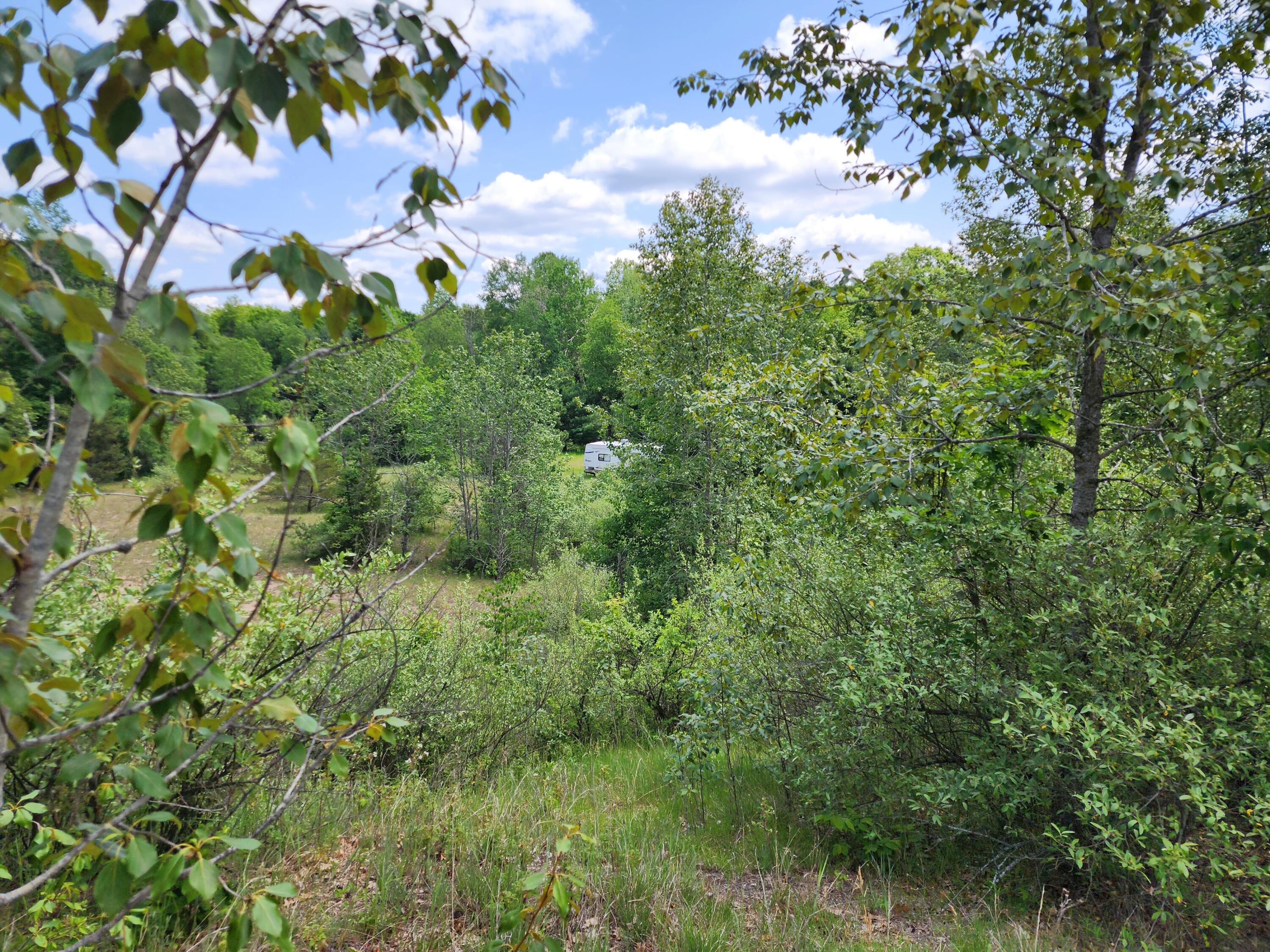 Winding Trail Fairview, MI 48621 - Photo 38 of 47 Gallery Image 38